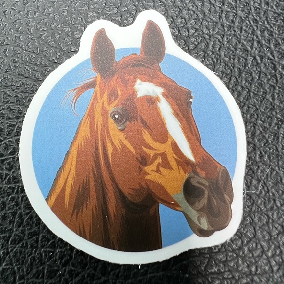 Red Horse Pony Equestrian Western English Cowboy Cowgirl Decor Sticker - Picture 3 of 4